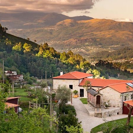 Quinta Olivia Daire Ponte da Barca Dış mekan fotoğraf